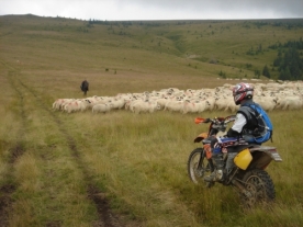 Transilvania off road