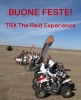 Buone feste