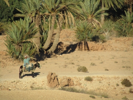 TRX Marocco