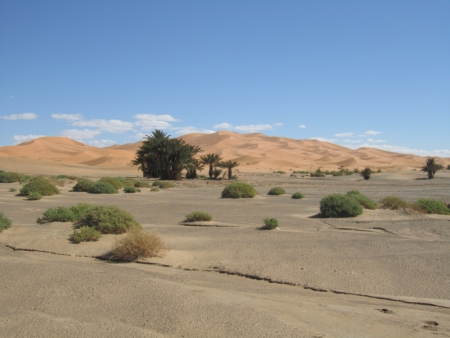 TRX Marocco