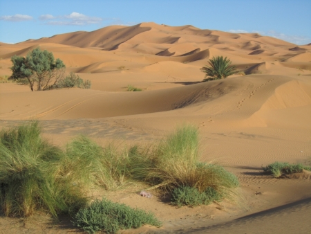 TRX Marocco