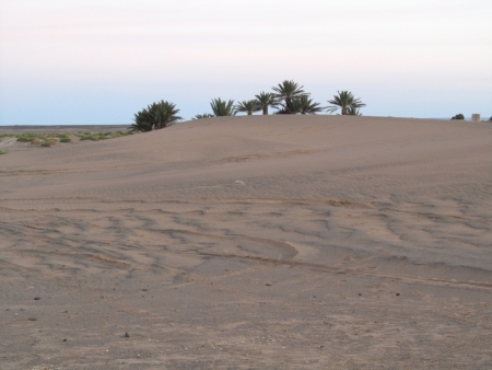 TRX Marocco