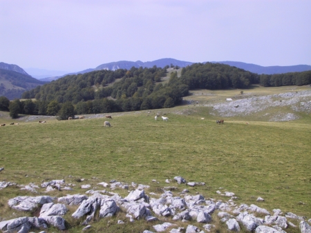 Romania