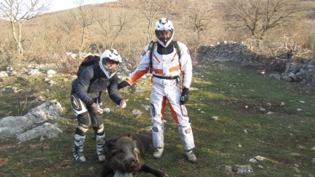 Battuta di caccia