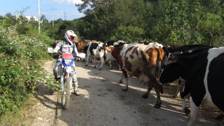 Scout giro Italia Enduro