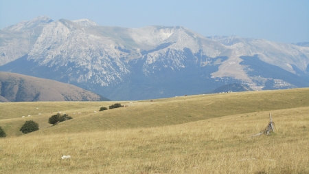 Scout giro Italia Enduro