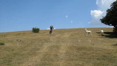 Scout giro Italia Enduro