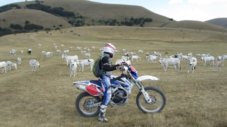 Scout giro Italia Enduro