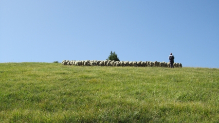 Scout giro Italia Enduro