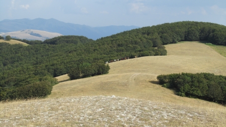 Scout giro Italia Enduro
