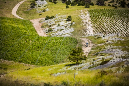 CROATIA RALLY 2014