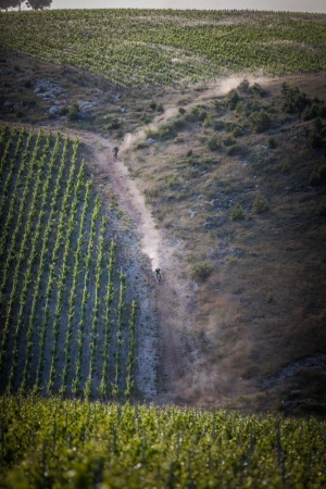 2015 CROATIA RALLY
