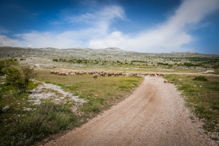 2015 CROATIA RALLY