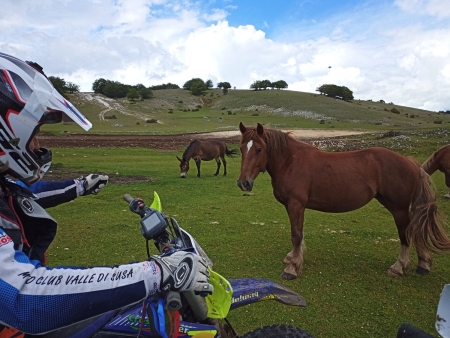 Enduro e Cavalli