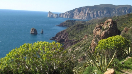 SARDEGNA 2016