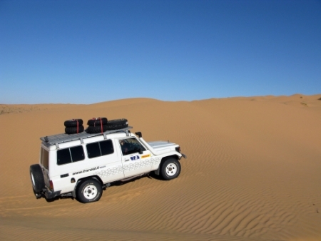 Tunisia - Dune Mosse