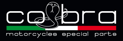 Motorcycles Special Parts